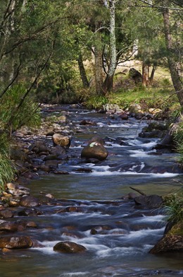 Stacks Image 194